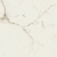 Керамогранит Fondovalle Infinito Marbletech Calacatta Matte 120x120