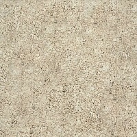 Керамическая плитка Alborz Ceramic Valentino Cheetah (мат) Rect 20x20 