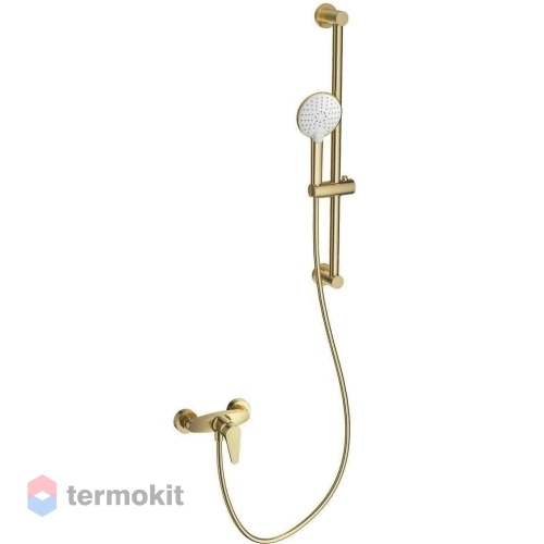 Смеситель для душа WONZON & WOGHAND Золото WW-AE3103-BG
