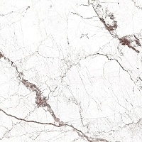 Керамогранит Fanal Windsor white rec 90х90