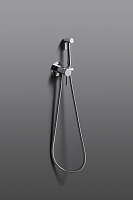 Встраиваемый смеситель с гигиеническим душем Allen Brau Priority 5.31A29-00