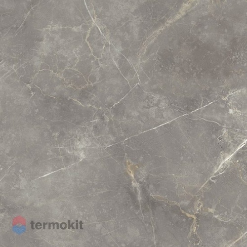 Керамогранит Fioranese Marmorea Grigio Imperiale Lev. 60х60