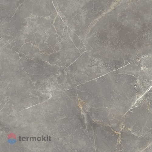 Керамогранит Fioranese Marmorea Grigio Imperiale Lev. 60х60