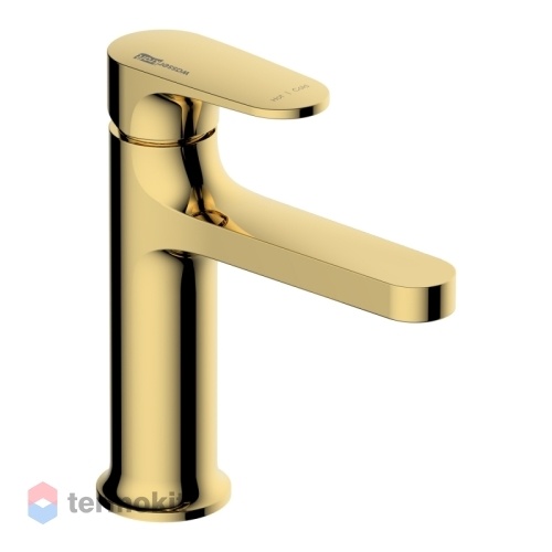 Смеситель для раковины WasserKRAFT Neckar золото 2103