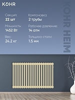 Стальной трубчатый радиатор Kohr Heim 2057/22 секции с боковым подключением 3/4 RAL1015