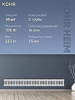 Стальной трубчатый радиатор Kohr Heim 3019/38 секций с боковым подключением 3/4