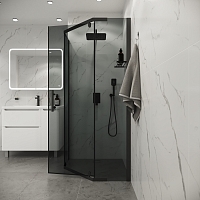 Душевой уголок Niagara Eco 1900x890x890 (тонированное стекло) черный матовый NG-1009-14DT